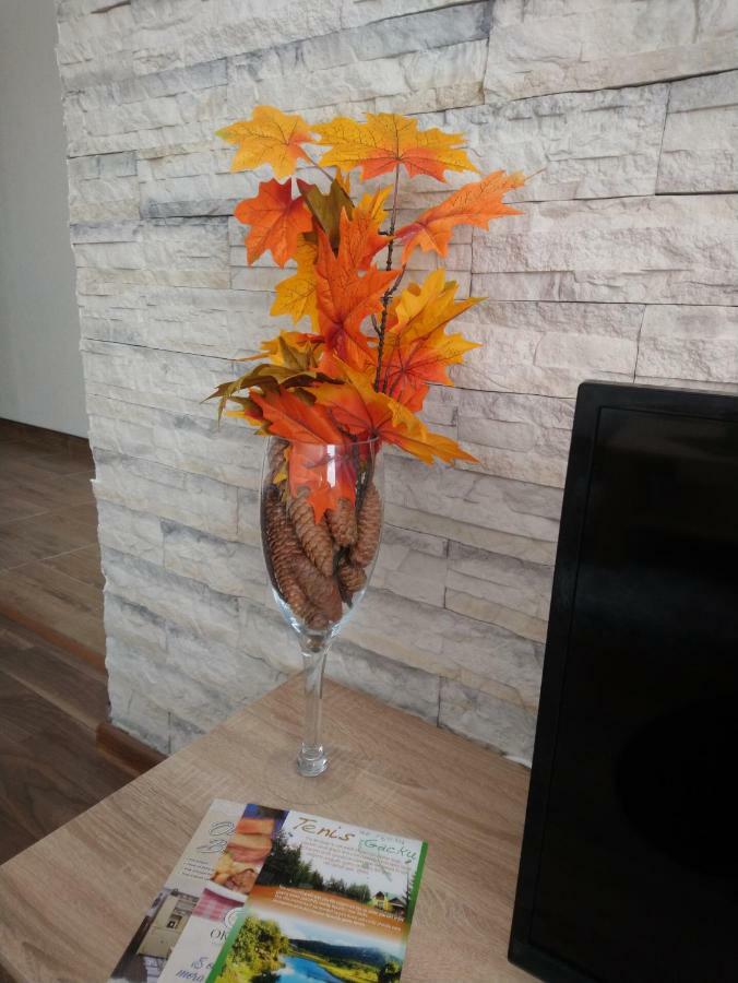 Apartment Danijela